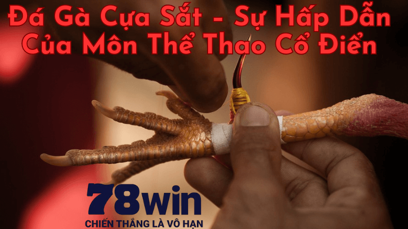 Đá Gà Cựa Sắt – Sự Hấp Dẫn Của Môn Thể Thao Cổ Điển