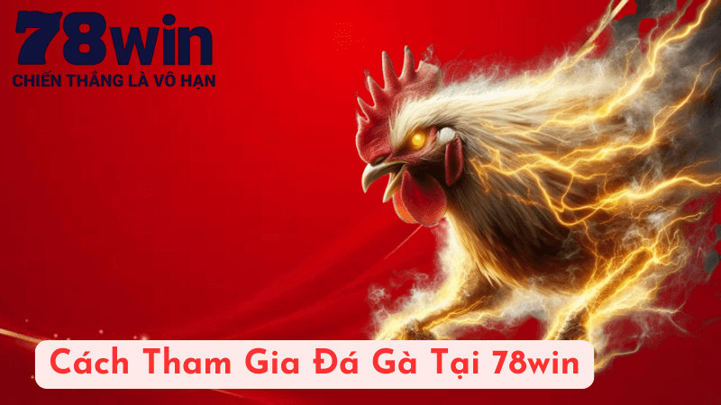 Cách Tham Gia Đá Gà Tại 78win