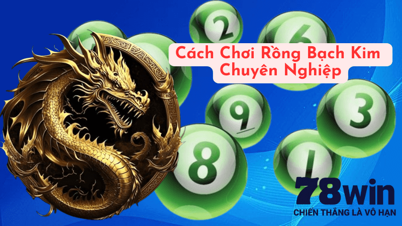 Cách Chơi Rồng Bạch Kim Chuyên Nghiệp